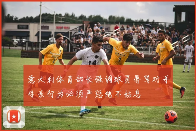 意大利体育部长强调球员辱骂对手母亲行为必须严惩绝不姑息
