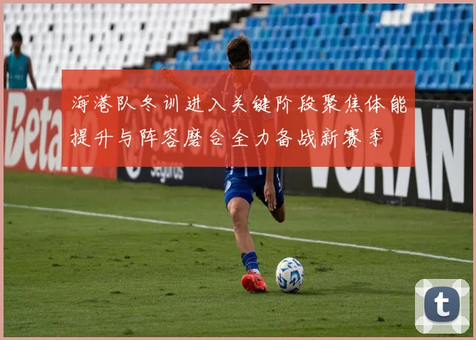 海港队冬训进入关键阶段聚焦体能提升与阵容磨合全力备战新赛季