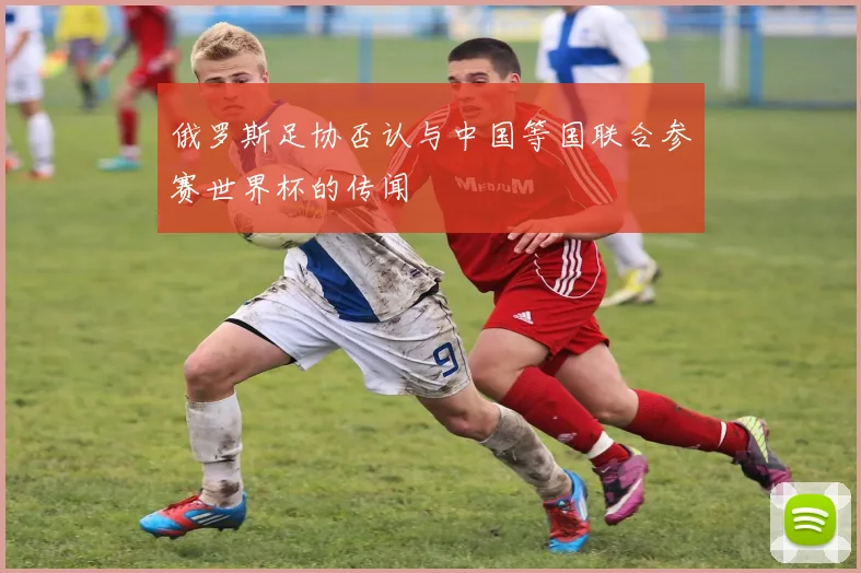 俄罗斯足协否认与中国等国联合参赛世界杯的传闻