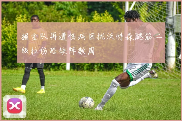 掘金队再遭伤病困扰沃特森腿筋二级拉伤恐缺阵数周