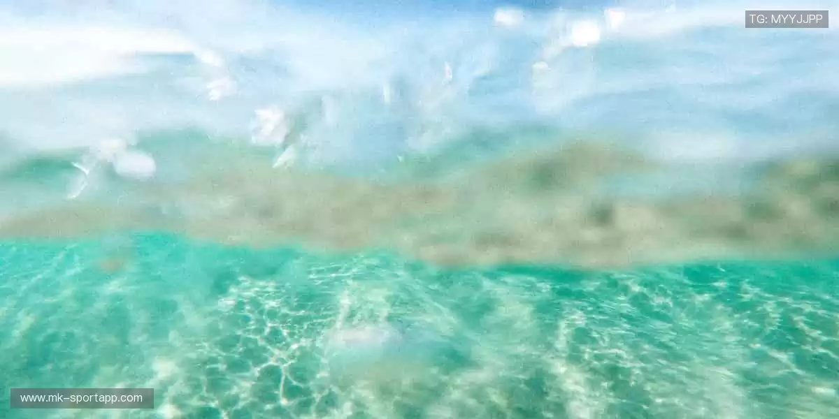 💻高清画质 + 实时弹幕,直播平台就是你的专属看台!